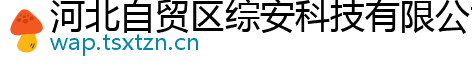 河北自贸区综安科技有限公司